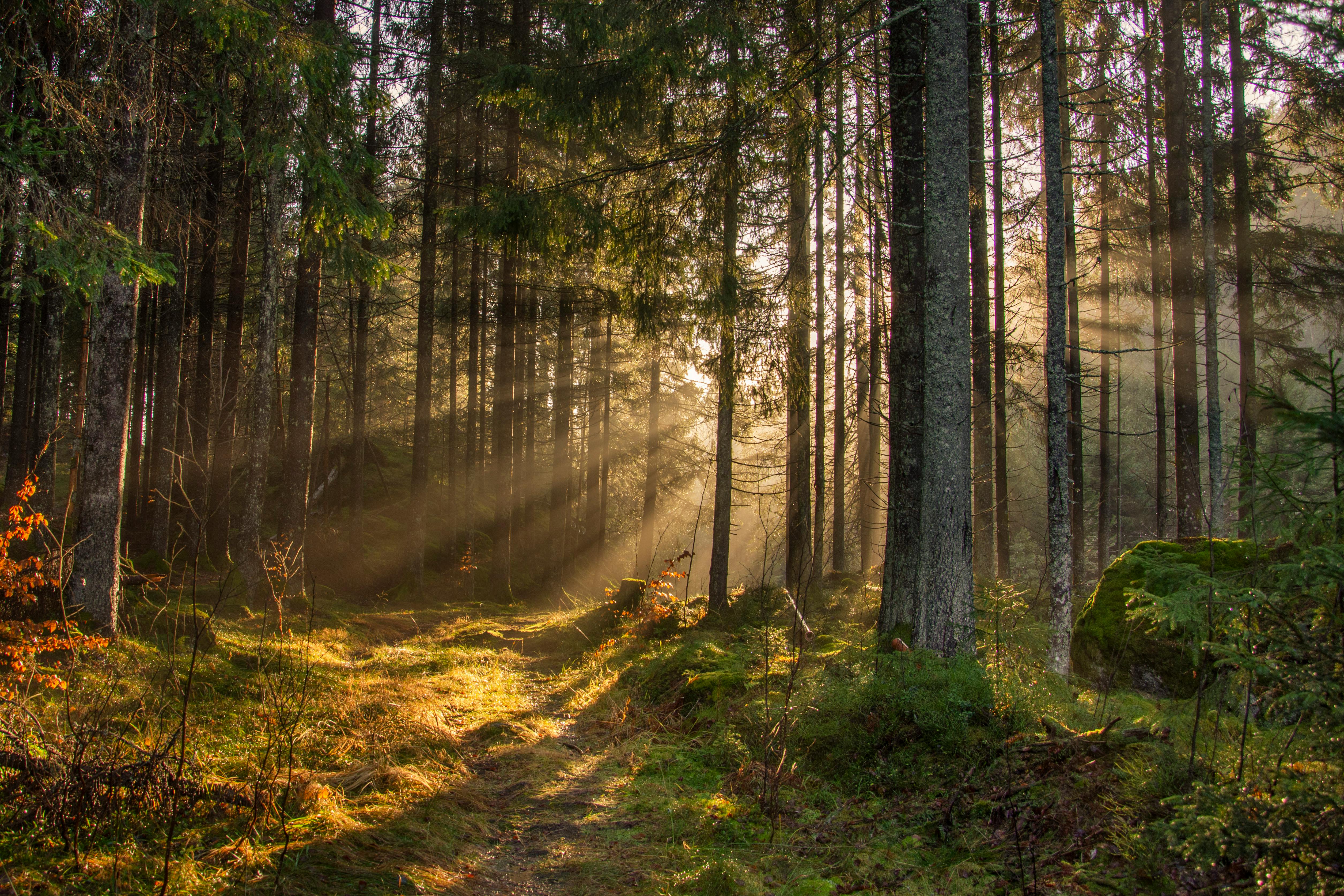 Recyclable Solar Materials: How Circular Innovation Is Reshaping PV Sustainability in 2025