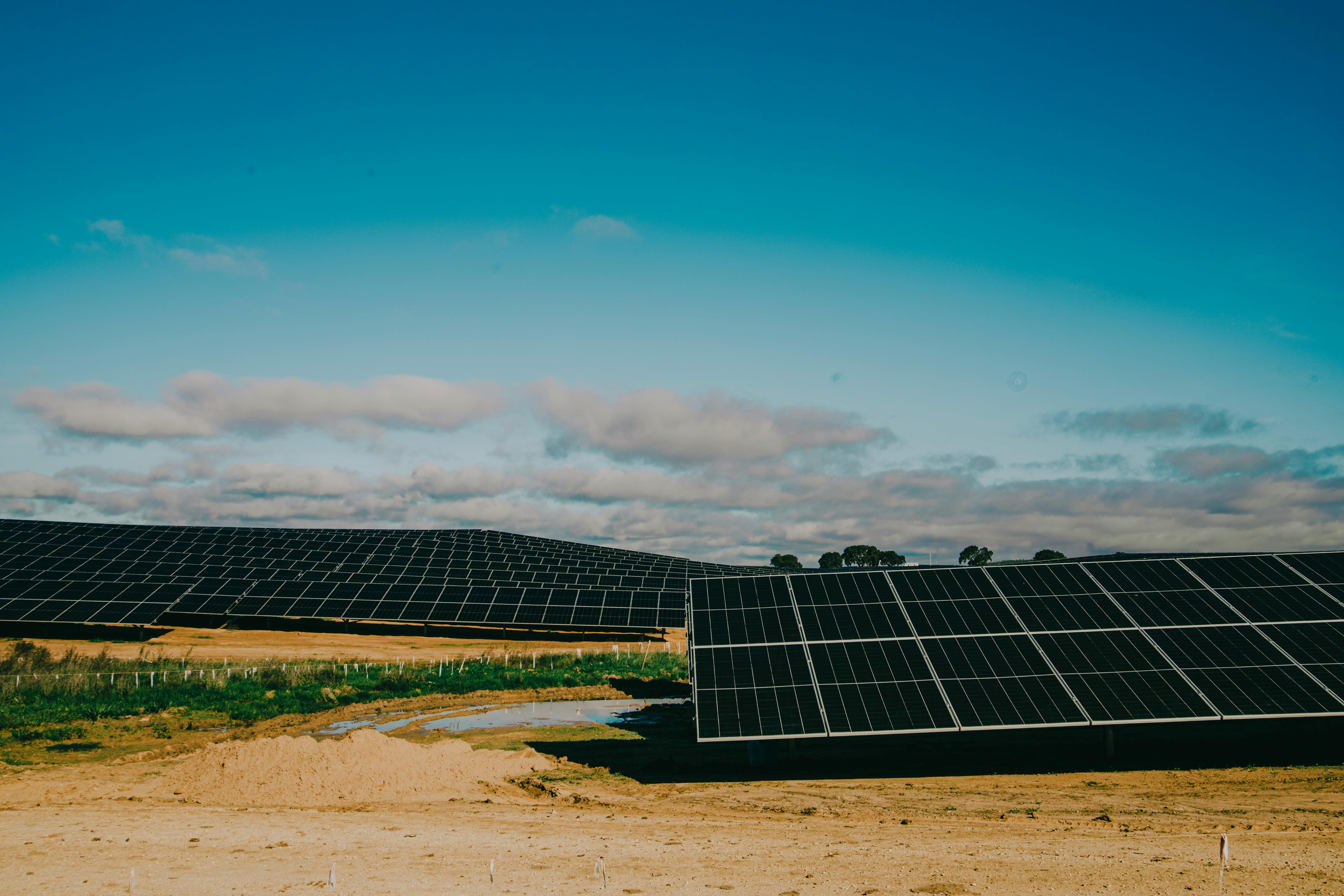 Utility-scale solar farm with bifacial monocrystalline PV modules installed in desert terrain, optimized for high irradiance and reflective ground conditions in the MENA region.