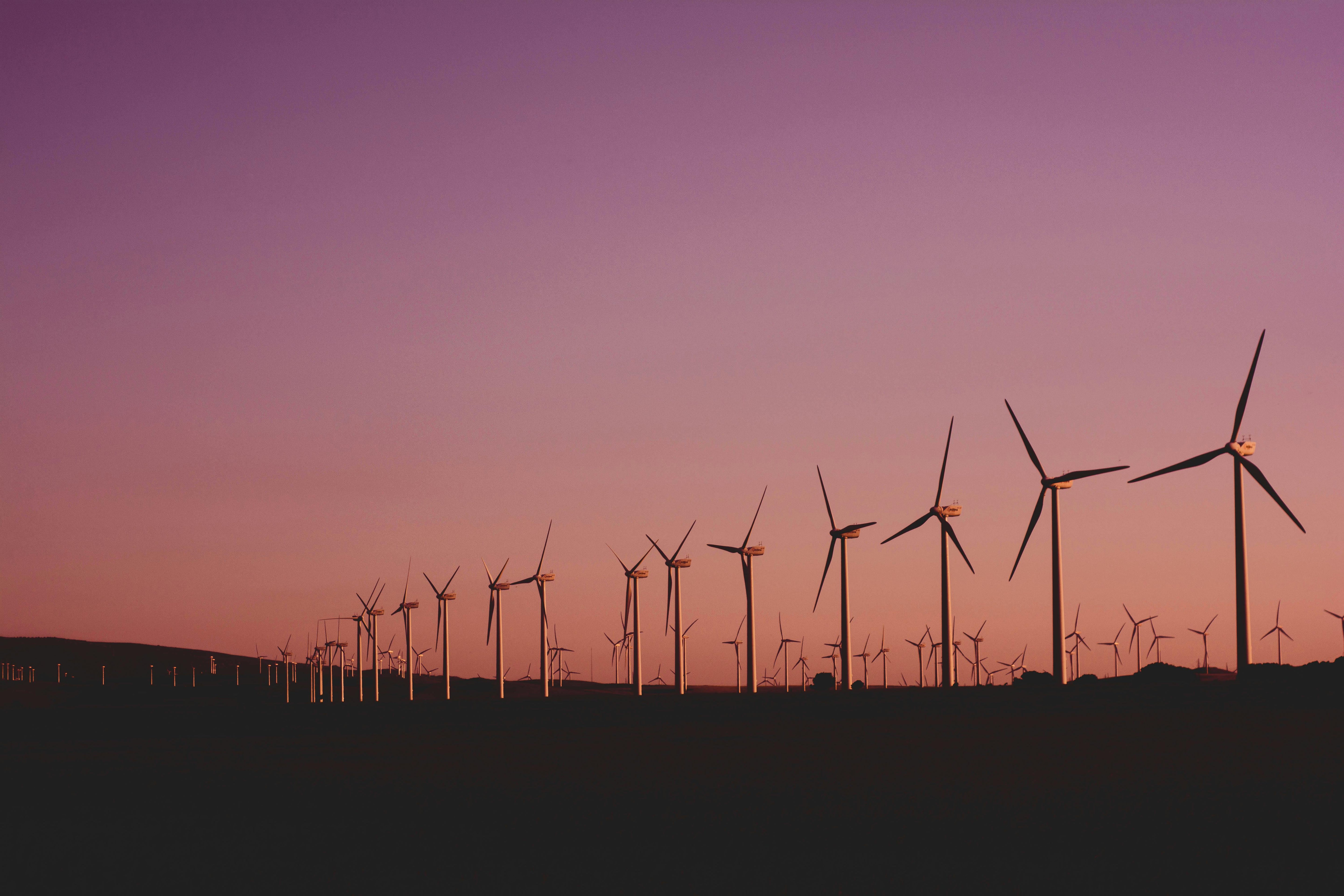 Large-scale wind farm at dusk with turbines silhouetted against a purple-pink sky, representing Gletscher Energy’s expansion into renewable wind power and sustainable energy infrastructure.